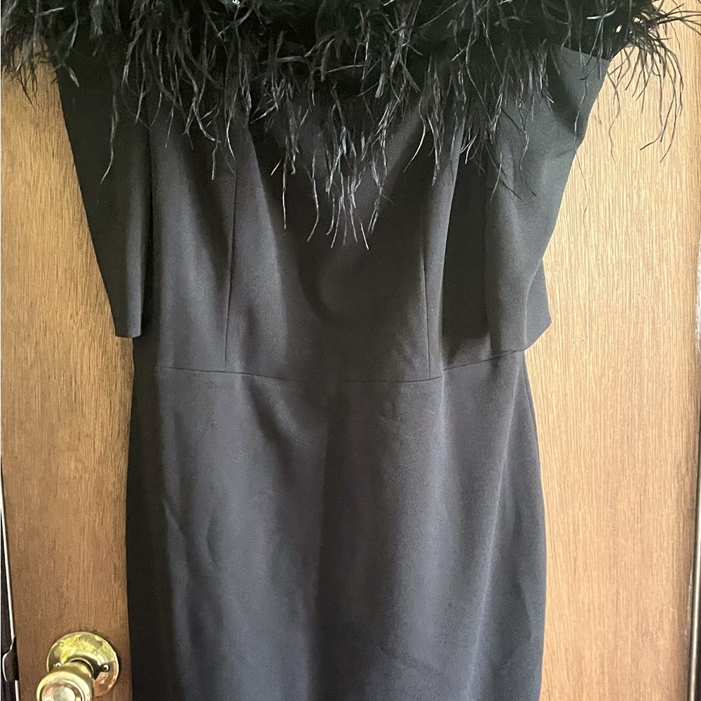 Black feather trim sheath silhouette. Knee length. New without tags.